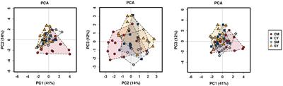 The Effects of Unfermented and Fermented Cow and Sheep Milk on the Gut Microbiota